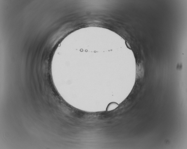 X0000111880291200909031847