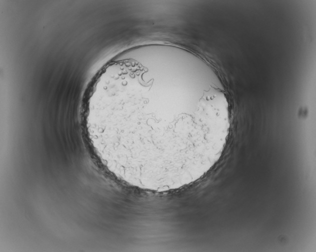 X0000111880292200909031847
