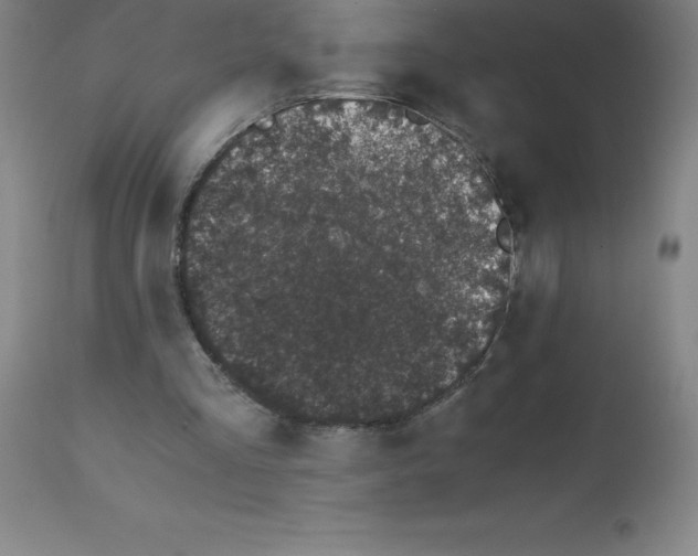 X0000111880293200909031847