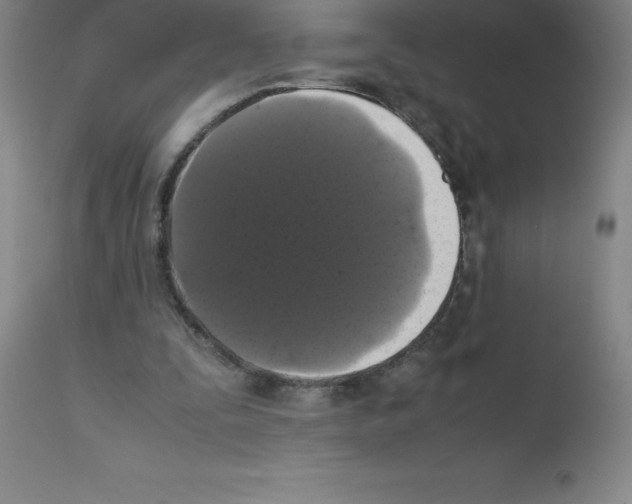 X0000111880295200909031847
