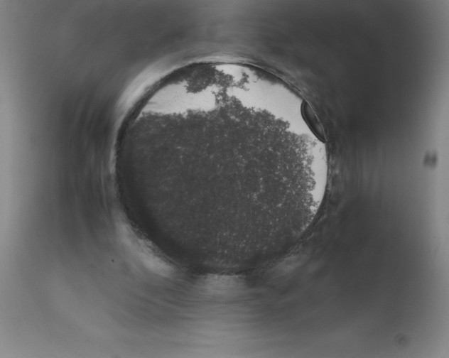 X0000111880296200909031847