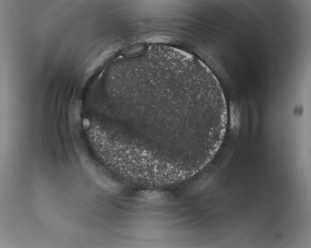 X0000111880300200909031847