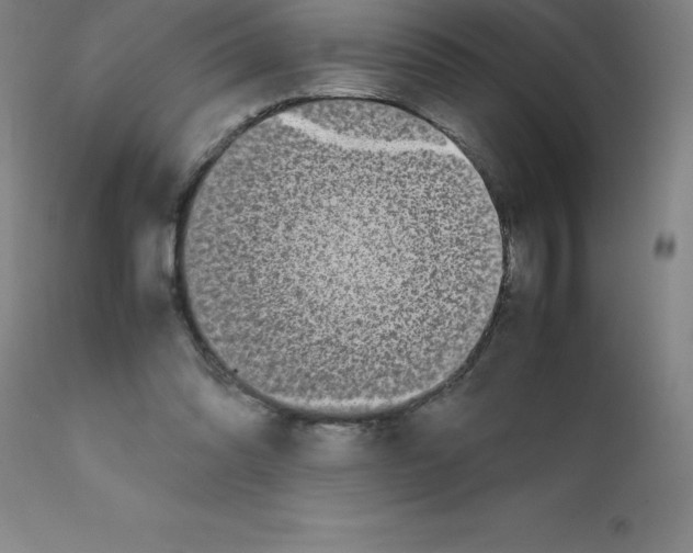 X0000111880302200909031847