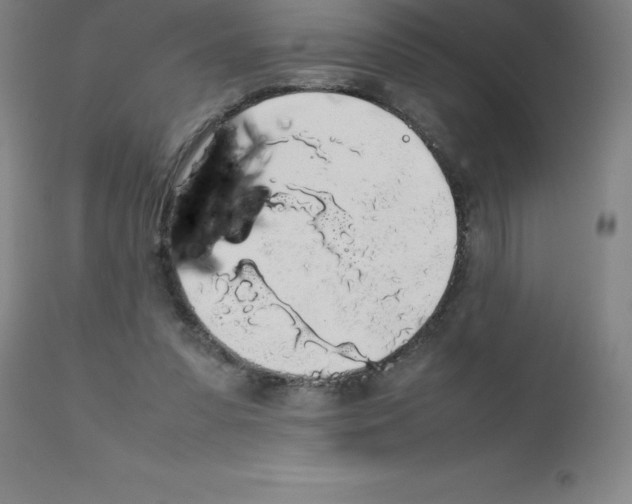 X0000111880303200909031847