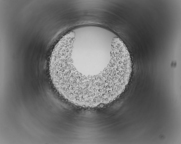 X0000111880304200909031847