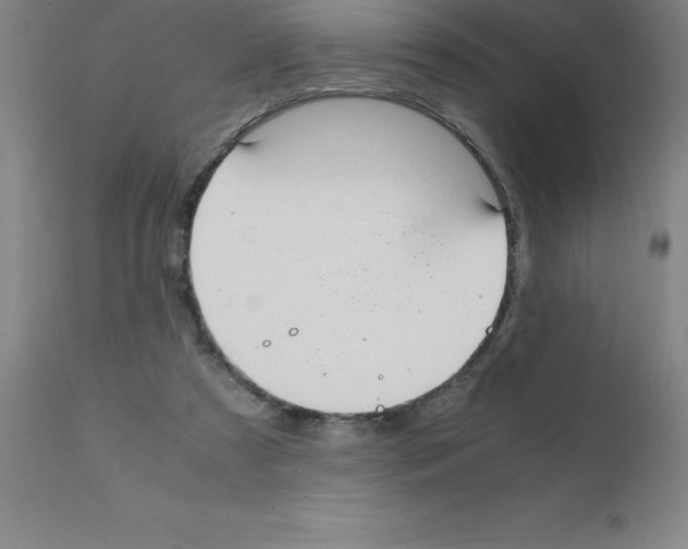 X0000111880305200909031847