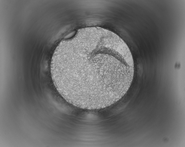 X0000111880308200909031847