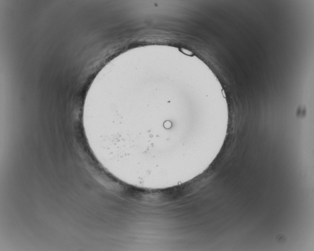 X0000111880309200909031847