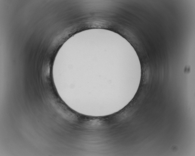 X0000111880310200909031847