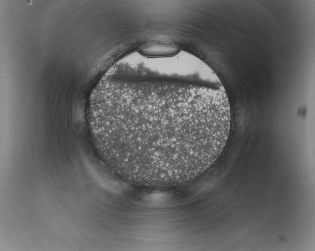 X0000111880312200909031847