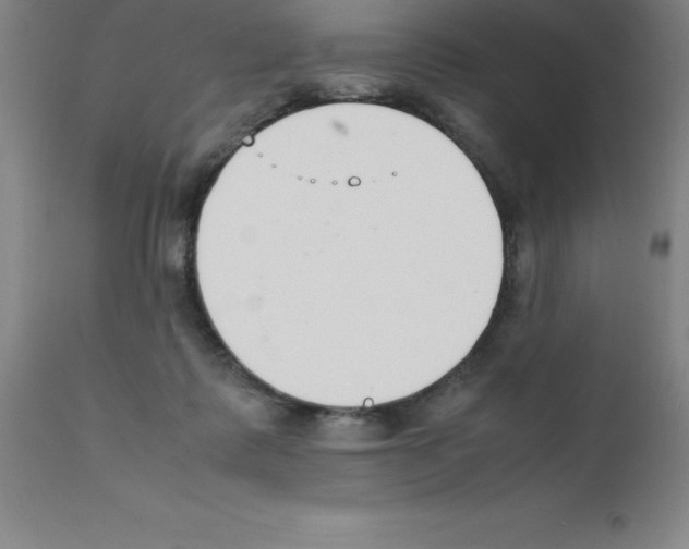 X0000111880315200909031847