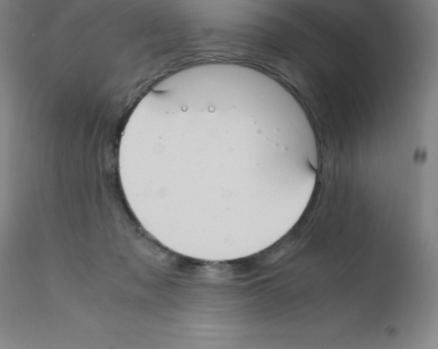 X0000111880317200909031847