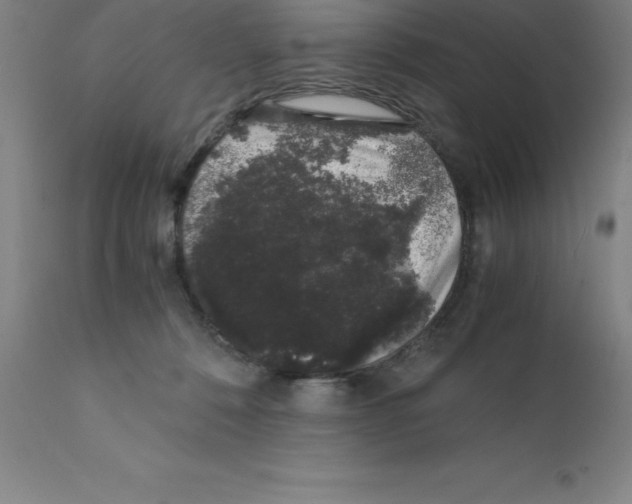 X0000111880320200909031847