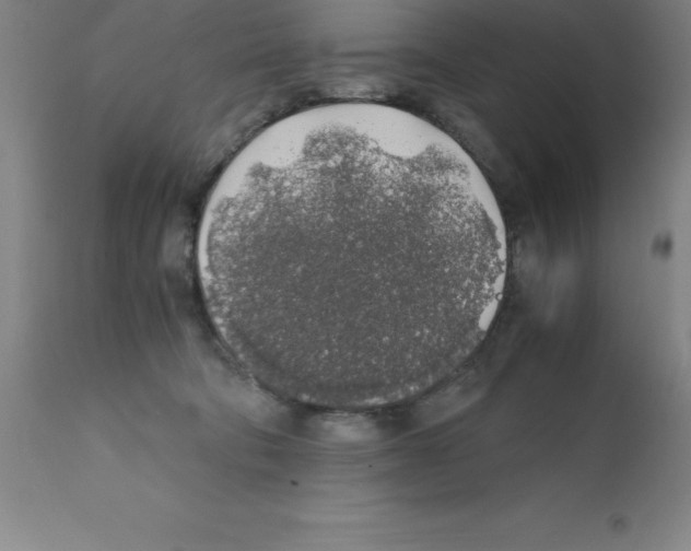 X0000111880322200909031847