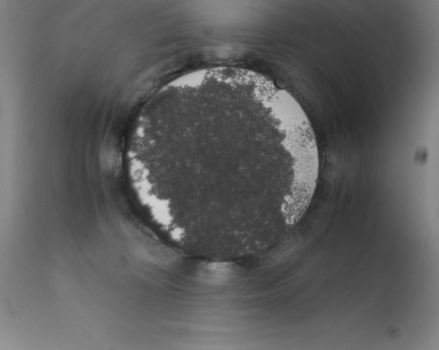 X0000111880324200909031846