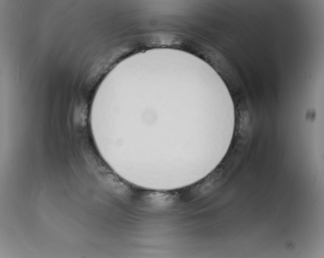 X0000111880326200909031846