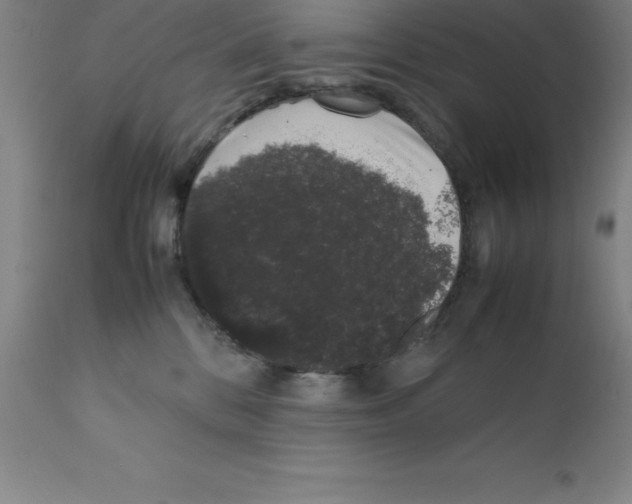 X0000111880328200909031846