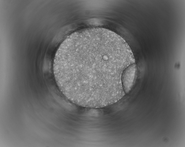 X0000111880330200909031846