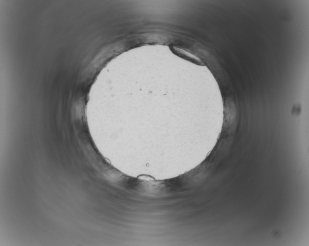 X0000111880333200909031846