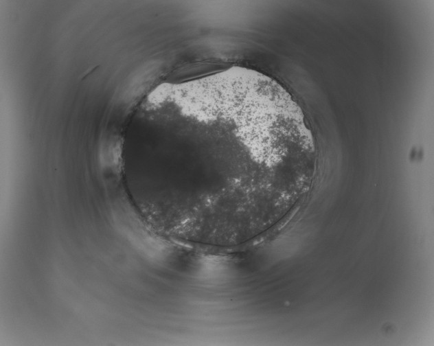 X0000111880336200909031846