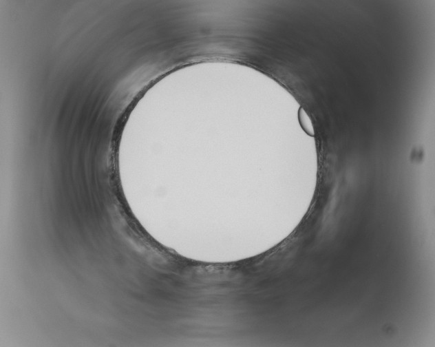 X0000111880338200909031846