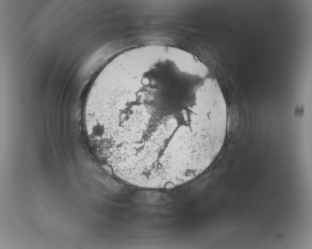 X0000111880339200909031846