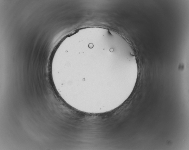 X0000111880340200909031846