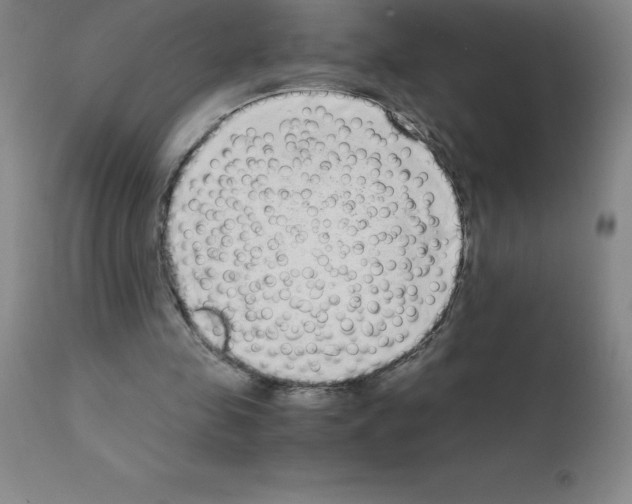 X0000111880341200909031846