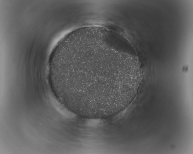 X0000111880342200909031846