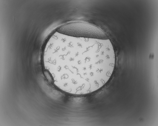 X0000111880344200909031846