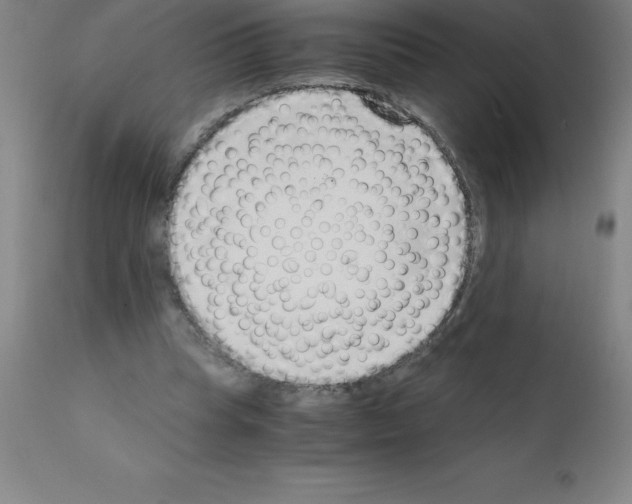 X0000111880345200909031846