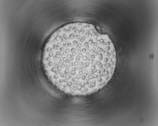X0000111880346200909031846