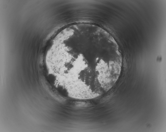 X0000111880347200909031846