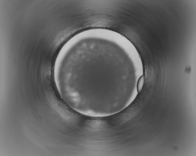 X0000111880348200909031846