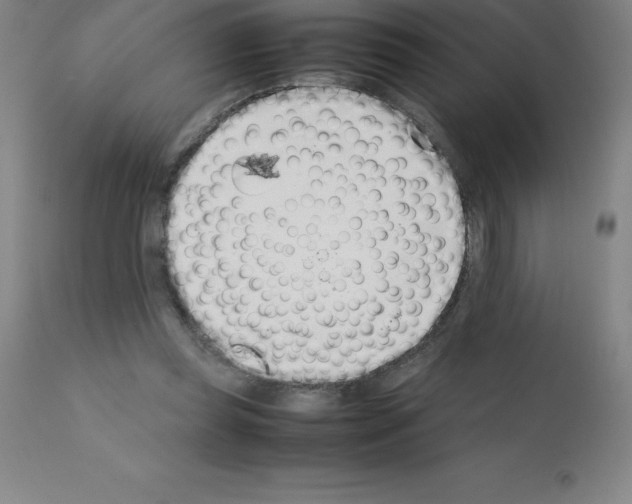 X0000111880349200909031846