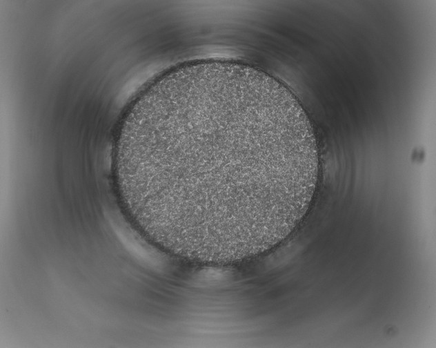 X0000111880350200909031846