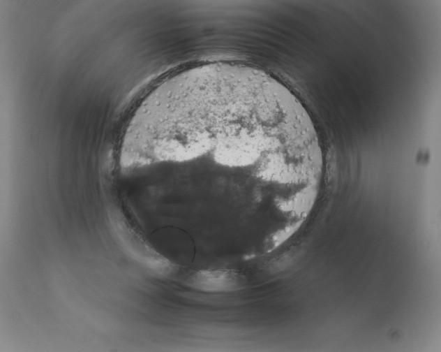X0000111880351200909031846