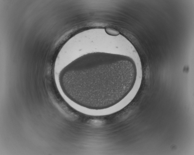 X0000111880352200909031846