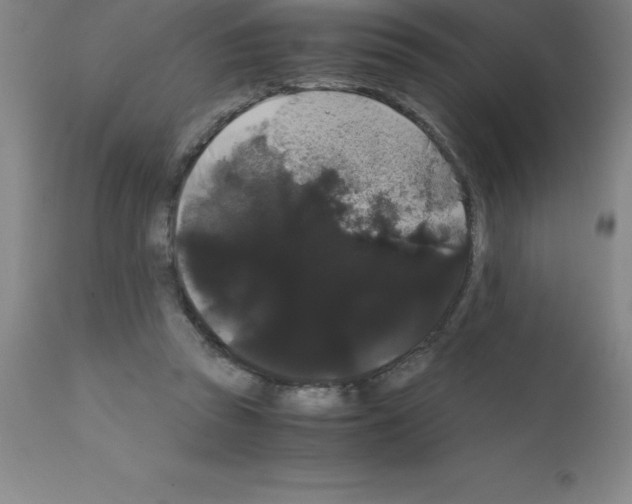 X0000111880353200909031846