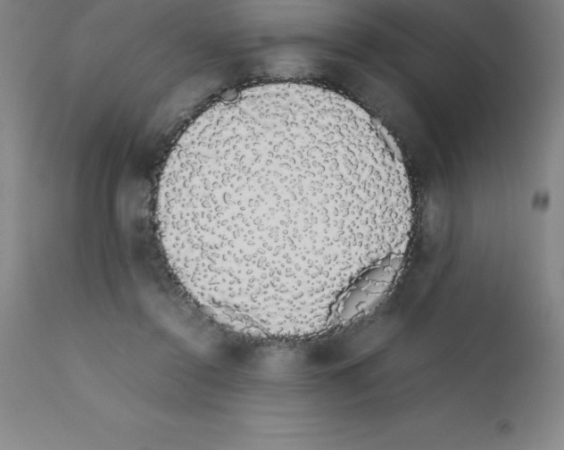 X0000111880356200909031846
