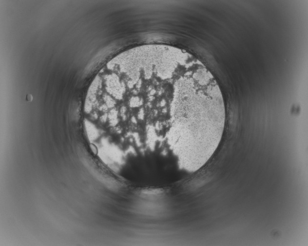 X0000111880357200909031846