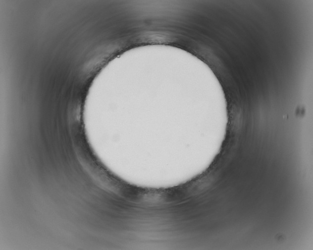 X0000111880358200909031846