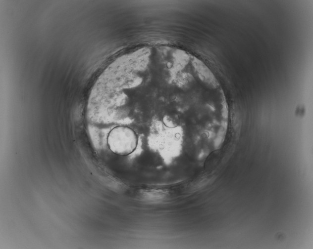 X0000111880359200909031846