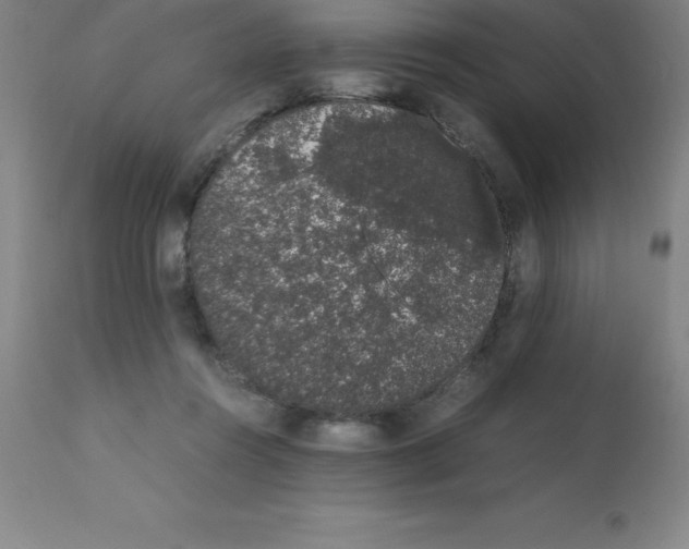 X0000111880360200909031846