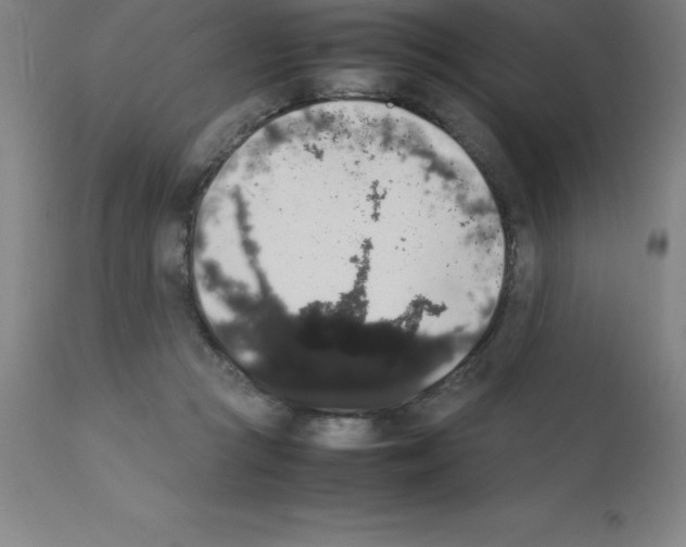 X0000111880361200909031846