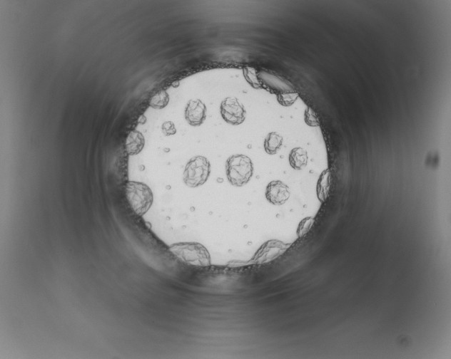 X0000111880364200909031846