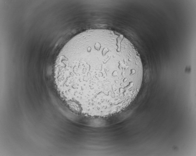 X0000111880365200909031846