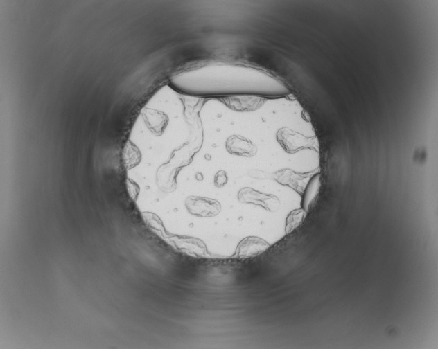 X0000111880368200909031846