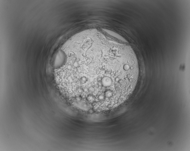 X0000111880371200909031846