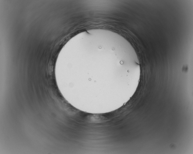 X0000111880372200909031846
